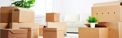 Move In/Out Cleaning